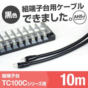 TC100C用 黒色 10m 端子台接続ケーブル (KIV 38sq 丸型圧着端子 R38-8) TV｜angelhamshopjapan