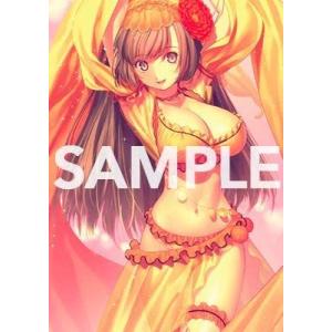 TYPE-MOON / Fate/Grand Order Premium Tapestry vol....