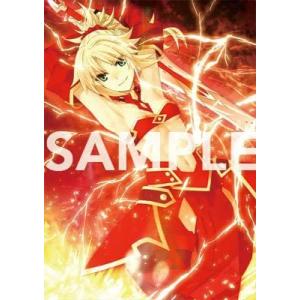 TYPE-MOON / Fate/Grand Order Premium Tapestry vol....