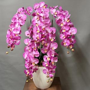 光触媒 アートフラワー 造花 胡蝶蘭 大型 ty...の商品画像