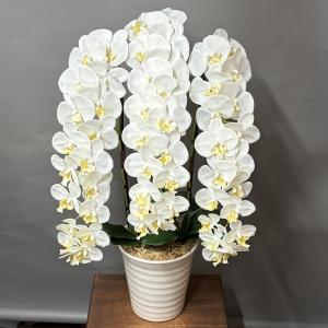光触媒 アートフラワー 造花 胡蝶蘭 大型 t...の詳細画像1