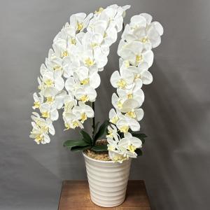 光触媒 アートフラワー 造花 胡蝶蘭 大型 t...の詳細画像5
