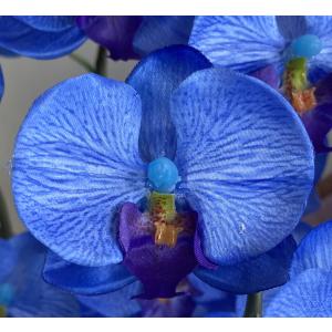 お悔み用 光触媒 造花 ミニ胡蝶蘭 アートフラ...の詳細画像5
