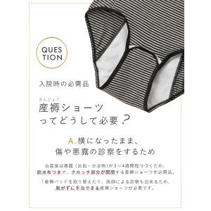 帝王切開 2枚組 全開 産褥ショーツ 出産準備...の詳細画像2