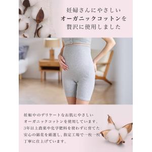 産褥ショーツ マタニティ 犬印本舗 綿100%...の詳細画像2