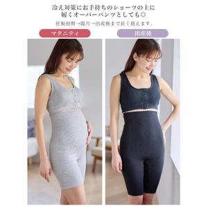 産褥ショーツ マタニティ 犬印本舗 綿100%...の詳細画像3