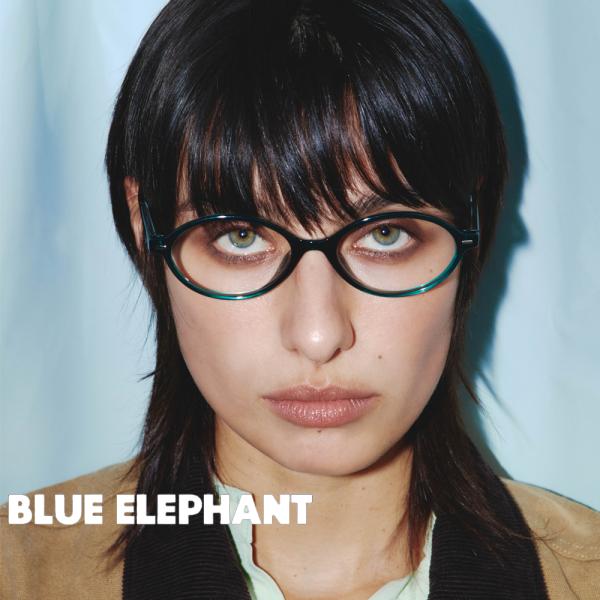 保証付 返品OK   日本　正規品  2026 日本未入荷ブランド BLUE ELEPHANT AV...