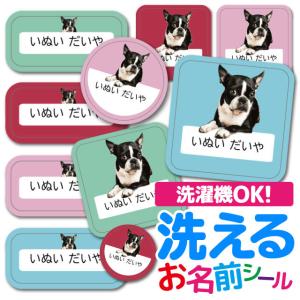 お名前シール 名前シール おなまえシール 防水 ...の商品画像