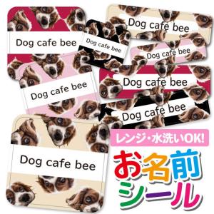 お名前シール おなまえシール 防水 ネームシール 選べる 保育園 幼稚園 小学校 入園 入学 いぬ 犬 アニマル 動物 Ps Onamae1076 Iphone スマホケースのangelique 通販 Yahoo ショッピング