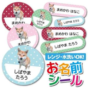 お名前シール 名前シール おなまえシール 防水 ...の商品画像