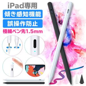 タッチペン iPad ペンシル 極細 スタイラスペン iPad 第10世代 9876 Air5 mini6 Pro 12.9 11インチ 超高感度Type-C充電 磁気 パームリジェクション