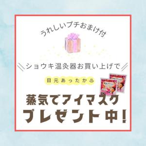 (おまけ付)邵氏温灸器セット ショウキ温灸器 ...の詳細画像1