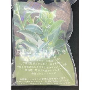 富士山ホワイトセージの詳細画像1