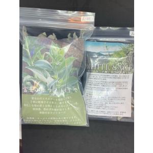 富士山ホワイトセージの詳細画像3