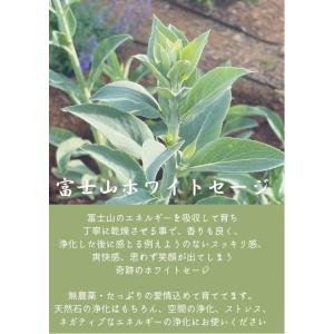 富士山ホワイトセージ ハーフサイズ 2024年初夏の商品画像