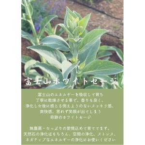 富士山ホワイトセージ 10 パック