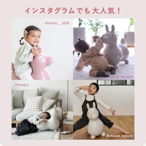 正規品 Rody ロディ ninonino ク...の詳細画像2