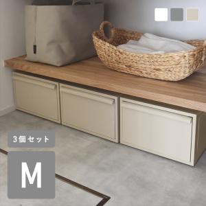 reisenthel（ライゼンタール） ストレージボックス 収納ボックス