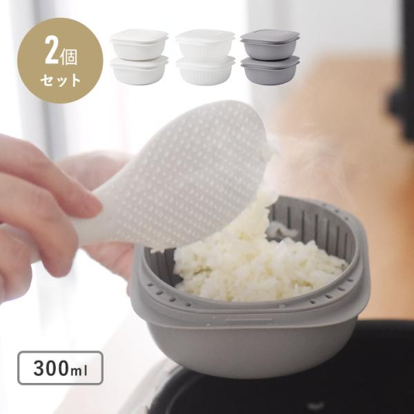 蒸気であたためる冷凍ごはん容器 2個組／ライクイット
