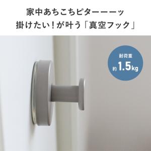 Ordre ここに引っ掛けたいが叶う 強力吸着...の詳細画像4