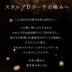 レディース シャンプー ボトル トリートメント...の詳細画像3