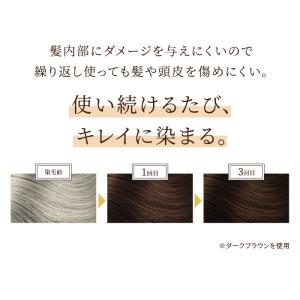 全額返金保証 スカルプDボーテ 白髪染め ヘア...の詳細画像5