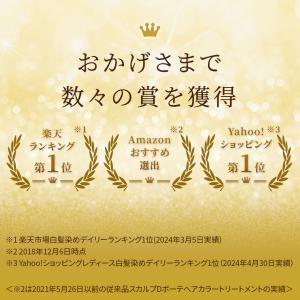 選べる4色 白髪染め ヘアカラー トリートメン...の詳細画像1