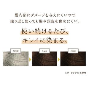 選べる4色 白髪染め ヘアカラー トリートメン...の詳細画像5