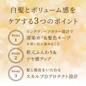 選べる4色 白髪染め ヘアカラー トリートメン...の詳細画像3