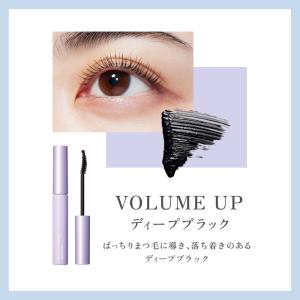 ポイント最大20倍 5%OFF マスカラ 選べ...の詳細画像5