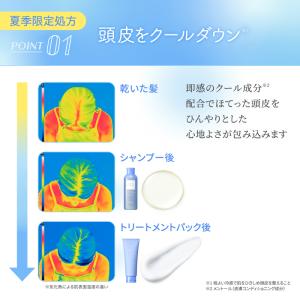 スカルプ D ボーテ スカルプシャンプー トリ...の詳細画像4