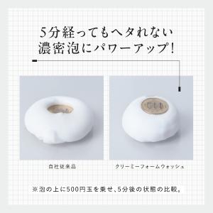 ポイント最大25倍 2タイプから選べる DIS...の詳細画像3