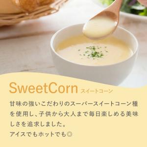 ドクターズナチュラルレシピ 美容スーププロテイ...の詳細画像2