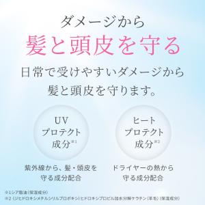 アウトバス トリートメント ボリュームアップ ...の詳細画像4