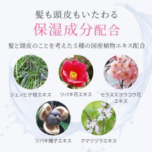 アウトバス トリートメント ボリュームアップ ...の詳細画像5