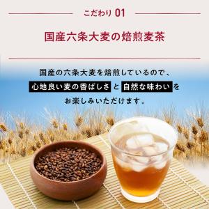 オムテック はぐくむ麦茶 GABA テアニン ...の詳細画像3