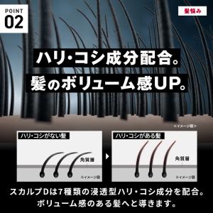 数量限定ギフトBOXスカルプD 薬用スカルプシ...の詳細画像5