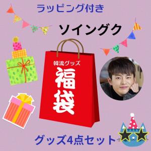 ソイングク ソ・イングク カードサイズ 2026年カレンダー付写真12枚