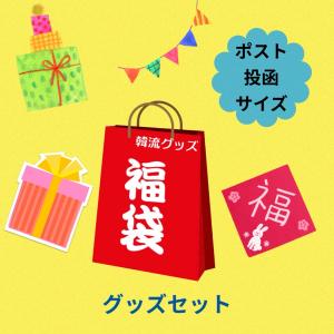 ラッピング付 セブンティーン SEVENTEEN セブチ メンバー 選べる 福袋 韓流 グッズセット クリスマス 誕生日 母の日 プレゼント ak037-2｜angieseoul