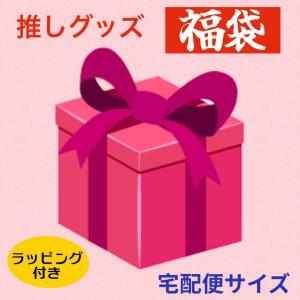 ラッピング付 ENHYPEN エンハイフン メンバー選べる 福袋 韓流 グッズ セット クリスマス バースデー 母の日 推しグッズ ak050-3