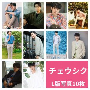 L エル INFINITE インフィニット キムミョンス フォトセット L版 写真