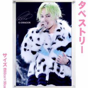 トップ TOP ビッグバン BIGBANG A4 クリアファイル 韓流 グッズ tk003