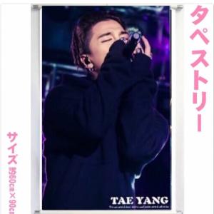 SOL テヤン TAEYANG BIGBANG ビッグバン A4 クリアファイル 韓流
