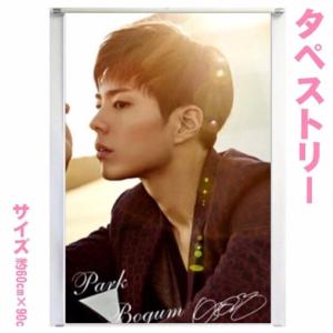 WannaOneタペストリーパクジフン WANNAONE パクジフン 大型 タペストリー 60×90 韓流 グッズ