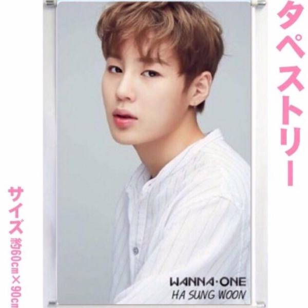 WANNAONE ハソンウン 大型　タペストリー 60×90 韓流 グッズ bb136-0