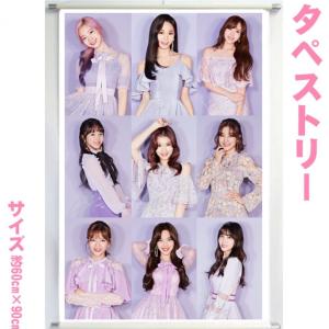 ツウィ TWICE トゥワイス 大型 タペストリー 60×90 韓流 アイドル