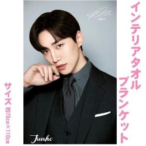 ジュノ 2PM トートバッグ小 韓流 グッズ ez010-2 : アンジーソウル