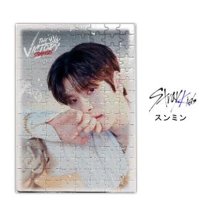 アイエン StrayKids ストレイキッズ スキズ ポストカードセット