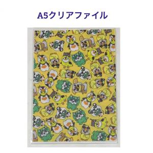 ジュノ 2PM クリアファイル A4 韓流 グッズ tk171-3 : アンジーソウル
