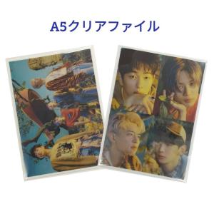 SHINee シャイニー A5 クリアファイル 韓流 グッズ fb047-2